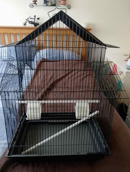 Photo of free bird cage budgies/lovebirds etc (pentwyn,cardiff cf23 7ar) #2