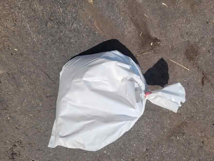 Photo of free Diatomaceous earth (Streetsville area) #1