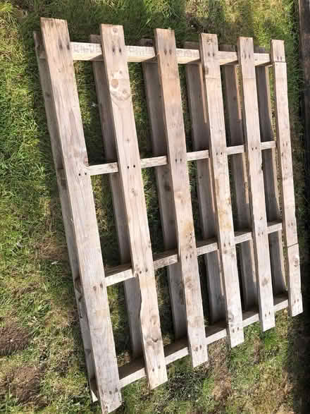 Photo of free 2 wooden pallets (Shippon OX14) #1