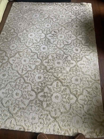 Photo of free Four large rugs (Spring Grove TW7) #1