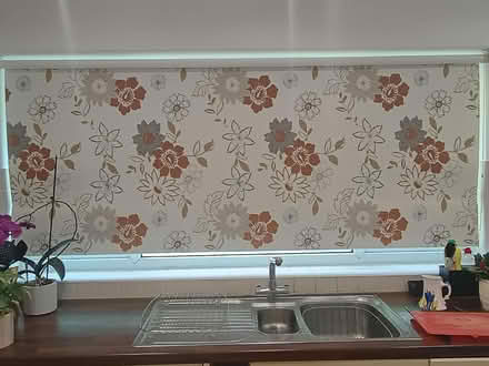 Photo of free Roller blind (GU51) #1
