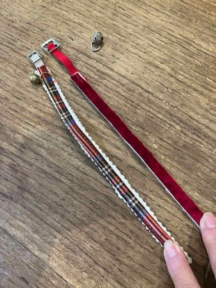 Photo of free Cat collars (Goffs Oak EN7) #1