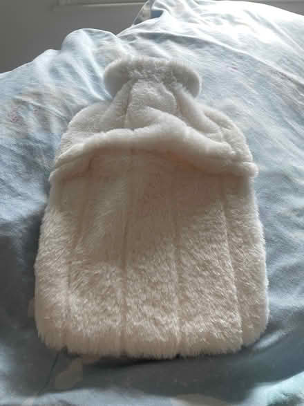 Photo of free Water bag for warming your hand (Tw1 3JZ) #1