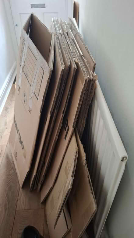 Photo of free Moving boxes (Teddington, TW11) #1