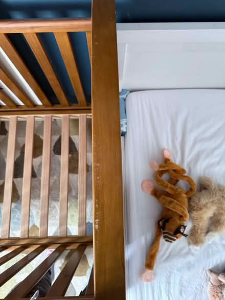 Photo of free Cot bed (TW4) #3