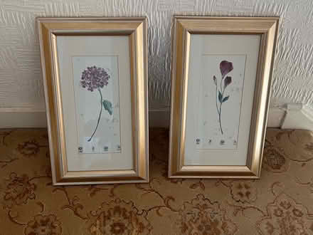 Photo of free Floral Prints (Bellshill) #1