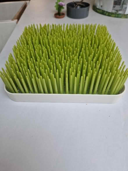 Photo of free Baby bottle drying rack (Earl Shilton LE9) #1