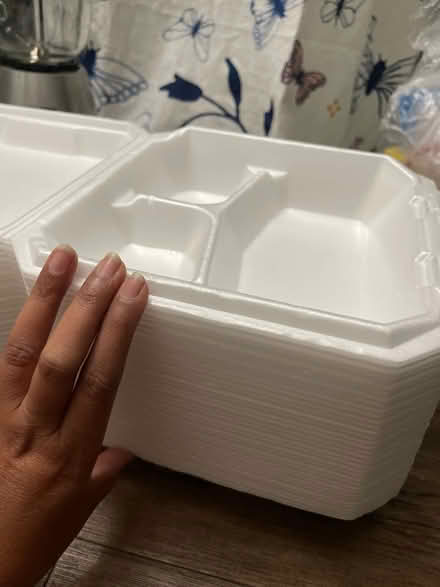 Photo of free Thermacol lunch box (Sunnyvale near Lawrencestation) #2