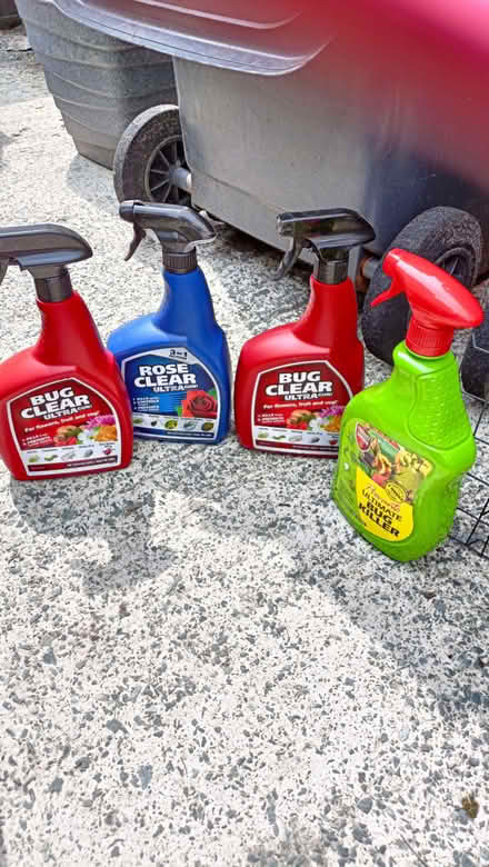 Photo of free Bug spray for garden (Oxenholme LA9) #1