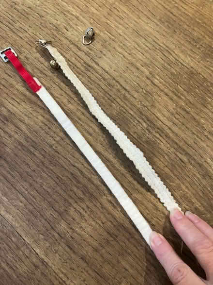 Photo of free Cat collars (Goffs Oak EN7) #2