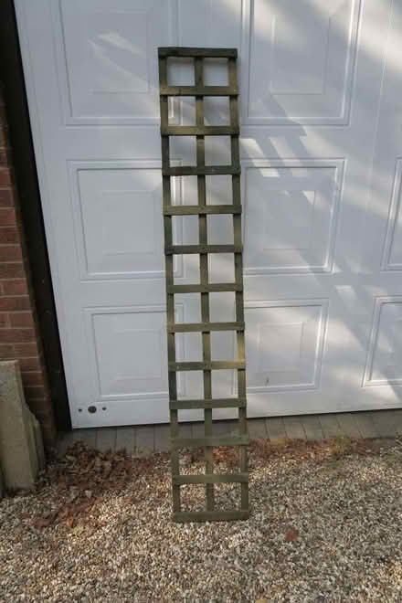 Photo of free Garden trellis (Purley on Thames RG31) #1