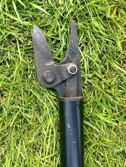 Photo of free Cordless Long Arm Tree Pruner (Dyke Road area BN1) #3