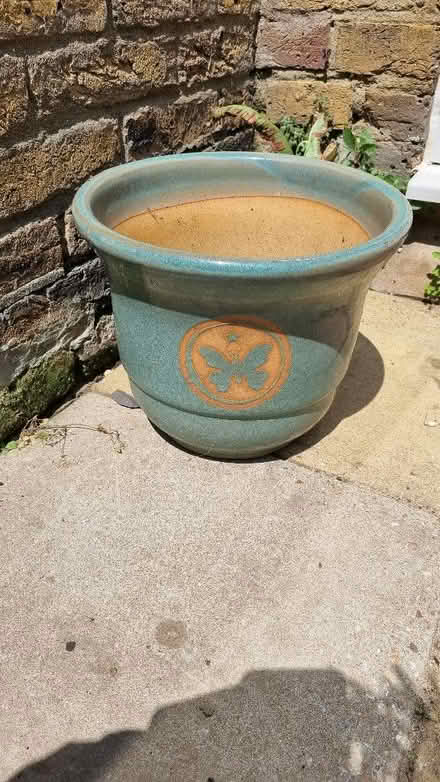 Photo of free Flower Pot (CT5) #1