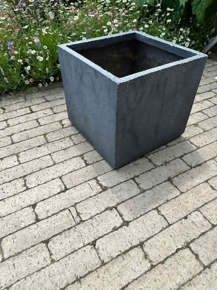 Photo of free Plant pot (Kenilworth CV8) #1