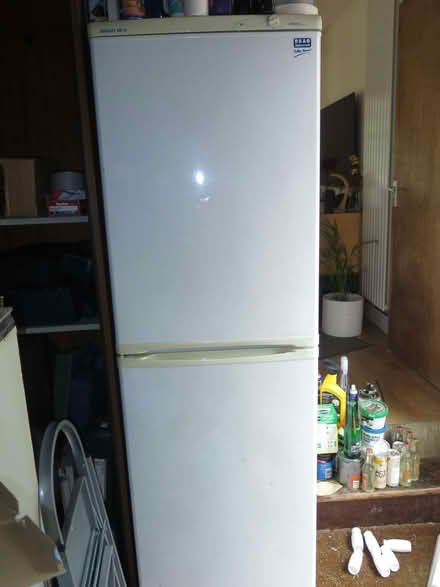 Photo of free Beko Fridge Freezer, Frost Free, 50/50 Fridge Freezer (Kings Stanley GL10) #1
