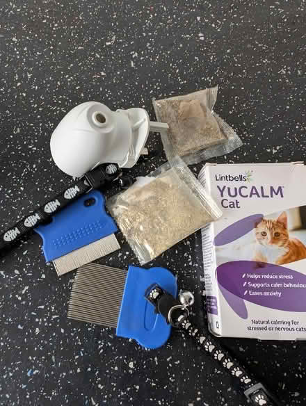 Photo of free Selection of cat items (Crewe CW1) #1