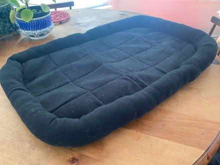 Photo of free dog crate mat see dimensions (Bare LA4) #2