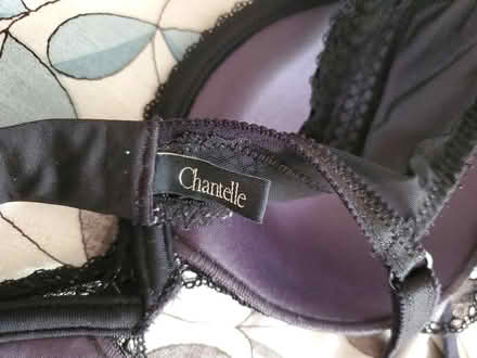 Photo of free Two 32DD bras (North Oakland) #3