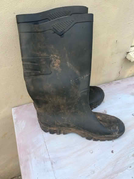 Photo of free Wellies (Oxford (Risinghurst) OX3) #1