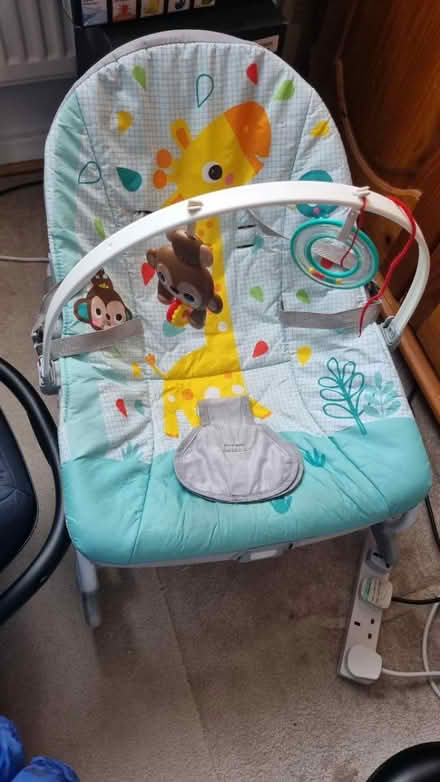 Photo of free Bath and bouncer (Conniburrow MK14) #2
