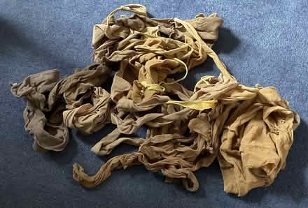 Photo of free Tying up plants (AB15) #1