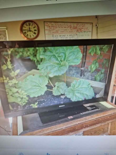 Photo of free Sony bravia 40 inch tv (Sunningdale SL5) #1