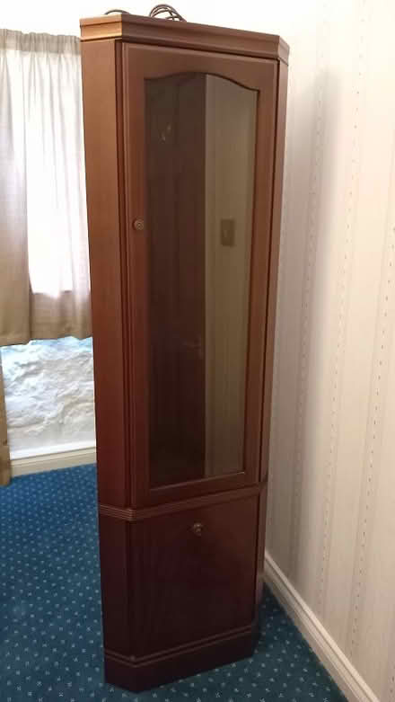Photo of free McIntosh Corner Display Cabinet (Old Swarland, NE65) #1