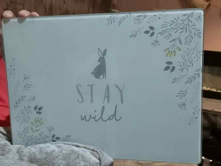 Photo of free Glass worktop savers (Fleetwood FY7) #1