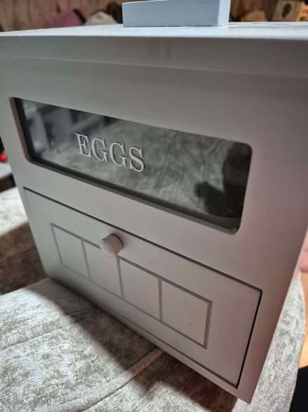 Photo of free Egg house and coffee canister (Fleetwood FY7) #1