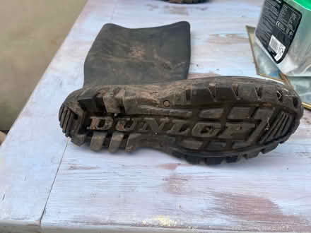 Photo of free Wellies (Oxford (Risinghurst) OX3) #2