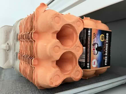 Photo of free Egg boxes x 20 (Waterlooville PO7) #2