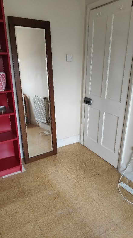 Photo of free Heavy wood wardrobe door mirror (Cutteslowe OX2) #2