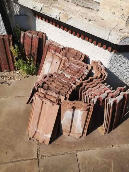 Photo of free Roof tiles (Abbey Wood DA17) #1