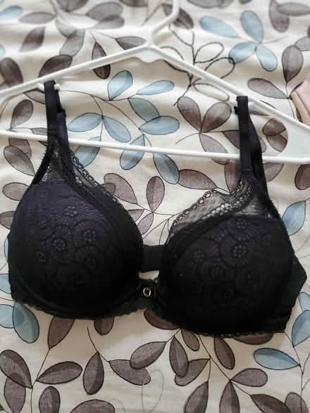 Photo of free Two 32DD bras (North Oakland) #2
