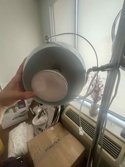 Photo of free Plant Light 💡 (Woodley Park) #2