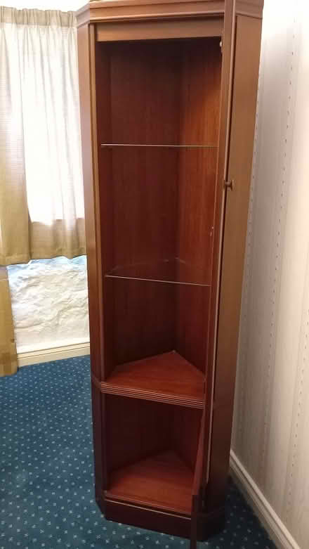 Photo of free McIntosh Corner Display Cabinet (Old Swarland, NE65) #3
