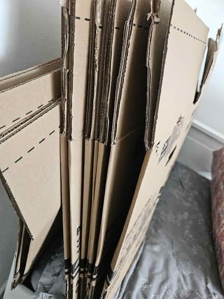 Photo of free 9 x Medium Packing Boxes (Bestwood Park Estate NG5) #2