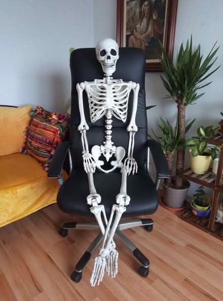 Photo of free Chair (Dane Hills LE3) #1