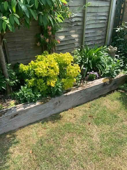 Photo of free Garden sleepers (CT7) #3