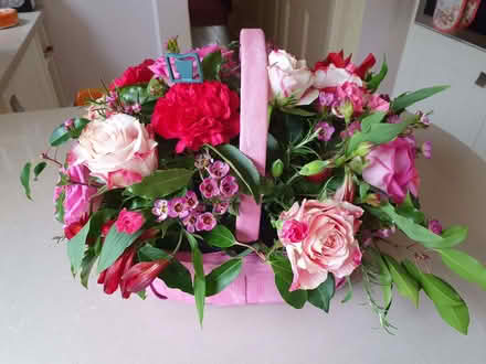 Photo of free Basket (Cheltenham GL53) #2