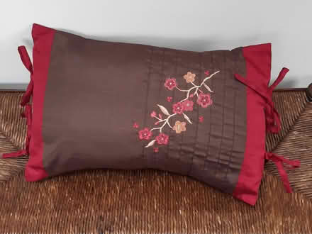 Photo of free Small decorative cushion (Oliver's battery, Winchester) #1