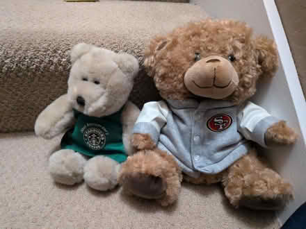 Photo of free Bears (Mount Carmel) #1
