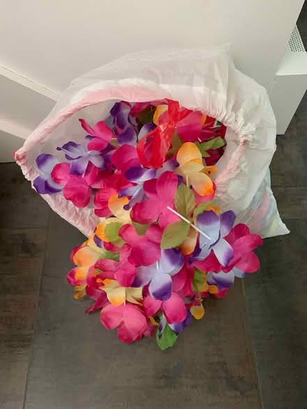 Photo of free Bag of Leis (Englewood) #2