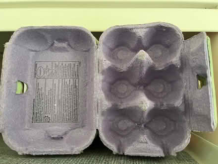 Photo of free Egg boxes x 20 (Waterlooville PO7) #3