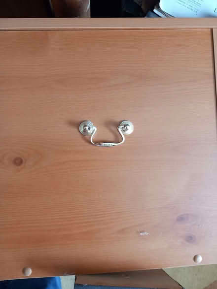 Photo of free Blanket box (Queen's Park BN2) #2