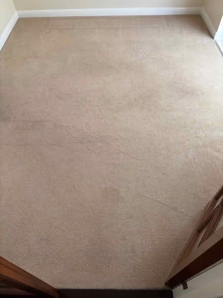Photo of free Carpet (Milton PO4) #3