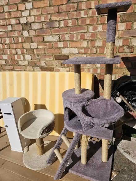 Photo of free Cat beds, stool, cooking trays. Toilet roll holder foam matt (Welling DA15) #2