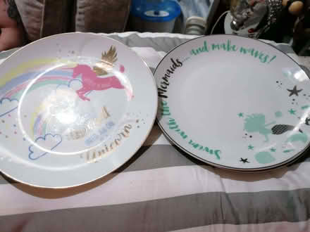 Photo of free Mermaid/unicorn crockery (Fleetwood FY7) #2