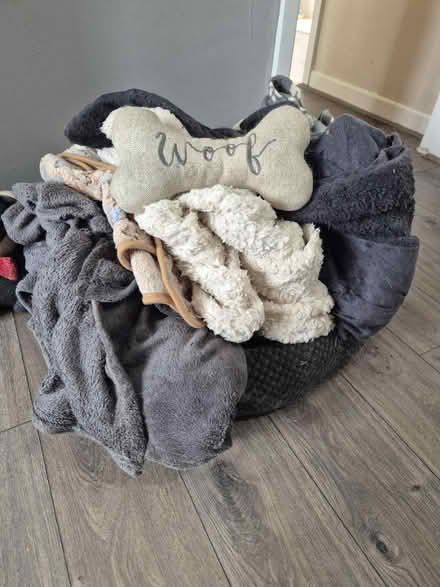Photo of free Dog bed and blankets (Royton OL2) #1
