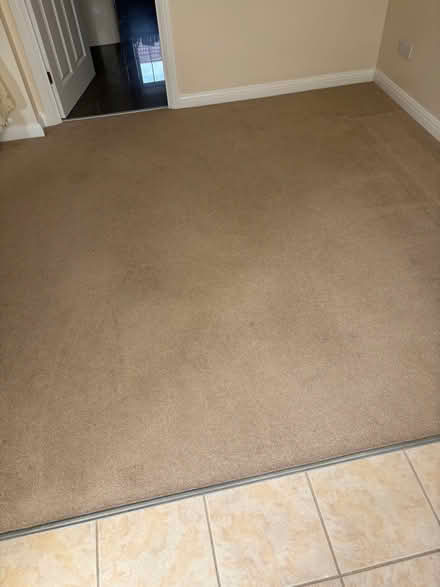 Photo of free Carpet (Milton PO4) #2